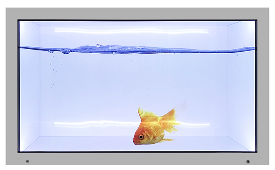 10Inch Transparent Box Holographic，Advertising Display Cabinet，Led Transparent Screen，Gift for Men Women，Open The Door Behind The 10Inch Transparent Cabinet